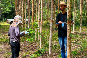 UNIR e Eletrogoes são parceiras em pesquisas de florestas plantadas